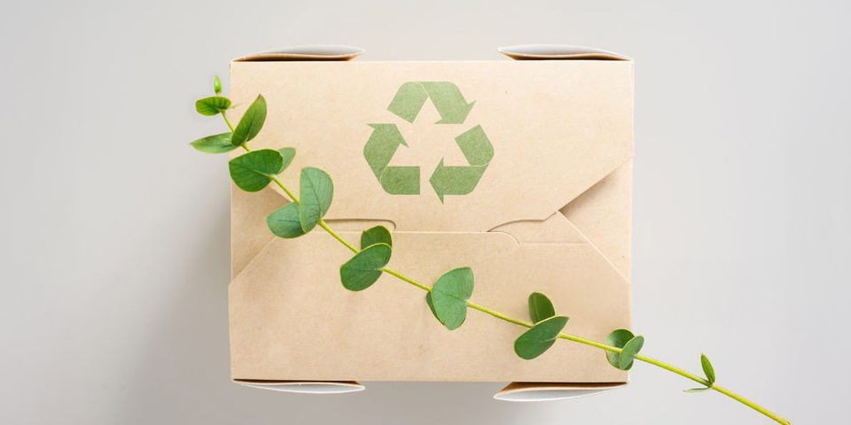 Packaging sostenibile | Scatolificio Niccoli